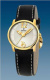 Ремень Festina BC05423, из кожи телёнка, черный, размер 20 мм