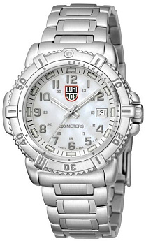 Браслет Luminox FM7250.ST, из стали, стальной